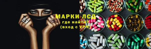 ECSTASY Гусь-Хрустальный