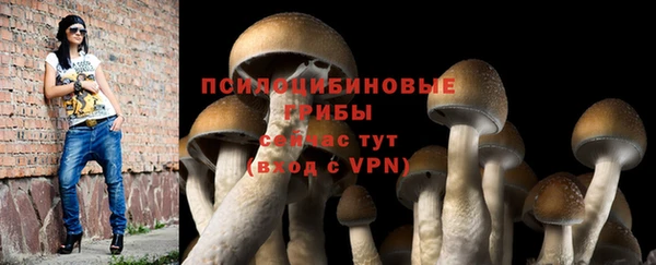 ECSTASY Гусь-Хрустальный